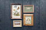 Brocante 12"x16" IOD Transfer Pad