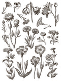 Floriography IOD Paint Inlay 12"x16" Pad - 8 Sheets