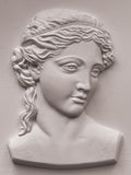 Persephone 5"x7" IOD Mould