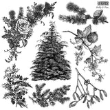 2025 Holly & Pine Stamp Set (12"x12" Pack) - 2025 HOLIDAY RELEASE