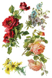 Catharina 8"x12" IOD Transfer Pad