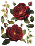 Collage De Fleurs 12"x16" IOD Transfer Pad