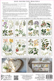 Sarah Featon's Botanicals 8"x12" IOD Transfer Pad