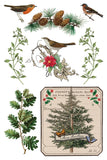 2025 Winter Botanist 8"x12" IOD Transfer Pad - 2025 HOLIDAY RELEASE
