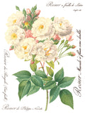 Rose Botanical 12"x16" IOD Transfer Pad