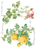 Rose Botanical 12"x16" IOD Transfer Pad