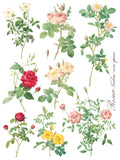 Rose Botanical 12"x16" IOD Transfer Pad
