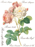 Rose Botanical 12"x16" IOD Transfer Pad
