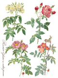 Rose Botanical 12"x16" IOD Transfer Pad