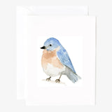 Assorted Bird Notecards