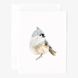 Assorted Bird Notecards