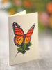 Butterflies & Buttercups
