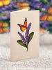 Lavender & Butterflies