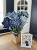Nantucket Hydrangeas