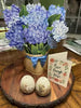 Nantucket Hydrangeas