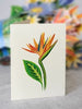 Tropical Bloom