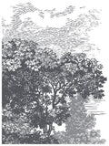 Summer Villa PIOD Paint Inlay 12"x16" Pad - 8 Sheets