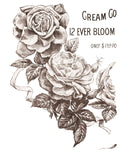 May's Roses Transfer