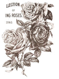 May's Roses Transfer