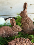 Les Lapins 6"x10" IOD Mould