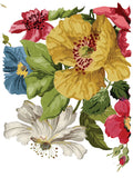 Wall Flower Decor Transfer