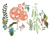 Wander Decor Transfer