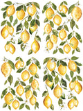 Lemon Drops Decor Transfer
