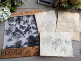 Meadowlark Stamp Set (12"x12" Pack)