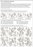 Grisaille Toile IOD Paint Inlay 12"x16" Pad - 8 Sheets