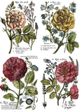 INTRODUCTION WORKSHOP to IOD Transfers & Stamps - (Sun. 4/10 @ Noon)