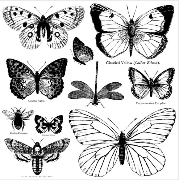 Butterflies Decor Stamps
