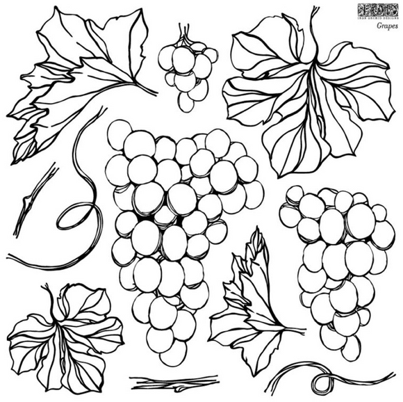 Grapes Decor Stamps