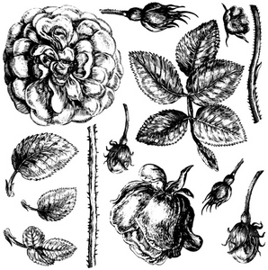 Lady of Shalott Decor Stamps