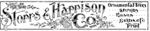 Storrs and Harrison Decor Transfer
